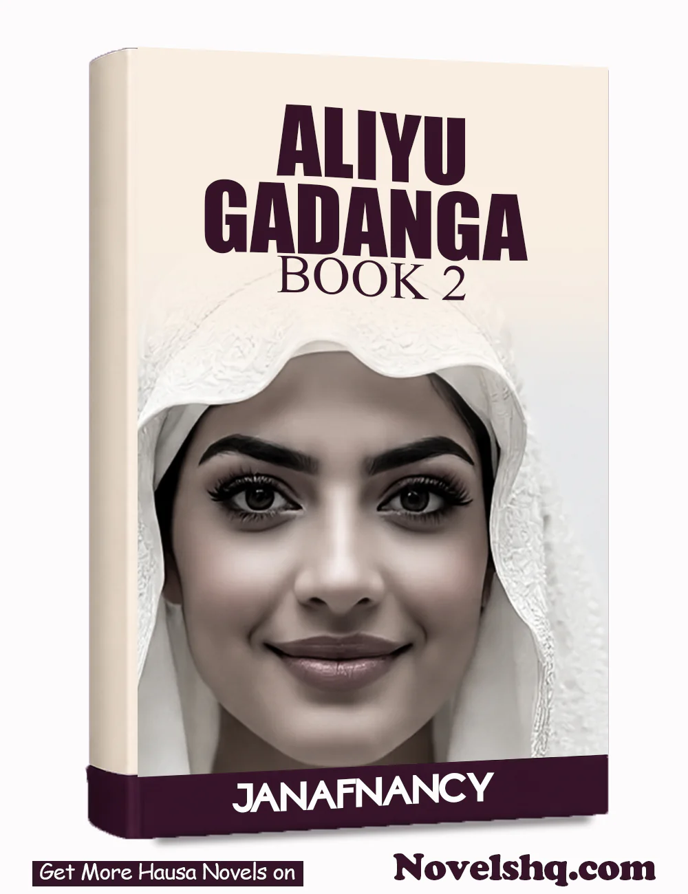 ALIYU GADANGA BOOK 2 By
