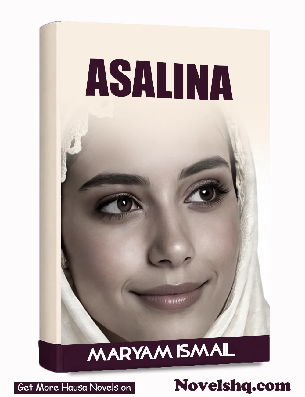 ASALINA COMPLETE Hausa Novel  By