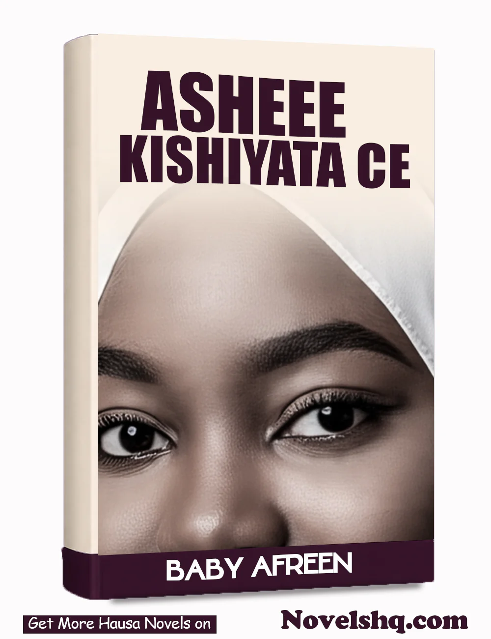 ASHE  KISHIYATACE Complete Hausa Novel  By
