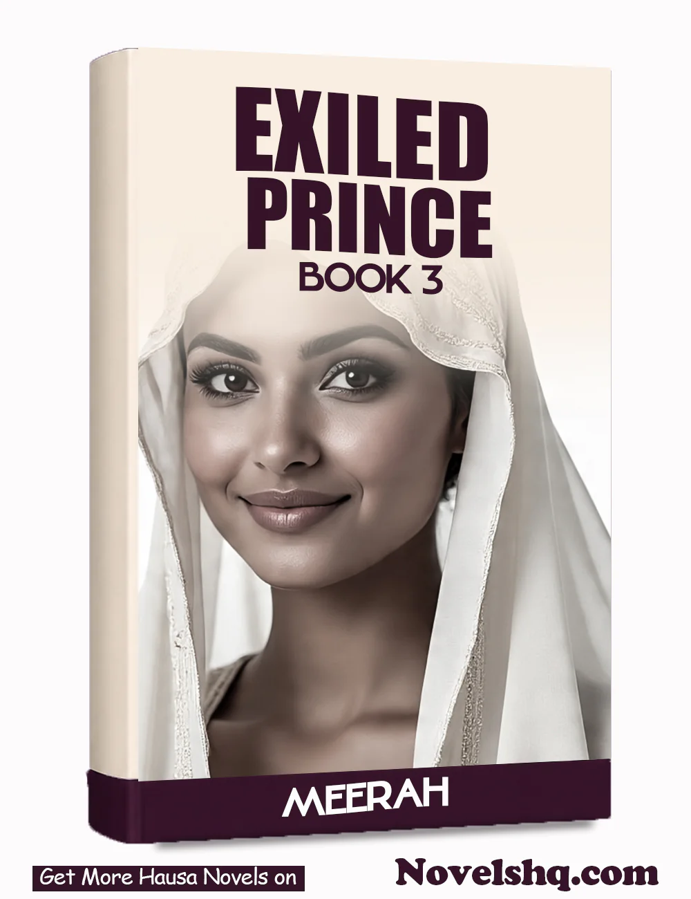 EXILED PRINCE BOOK 3  By