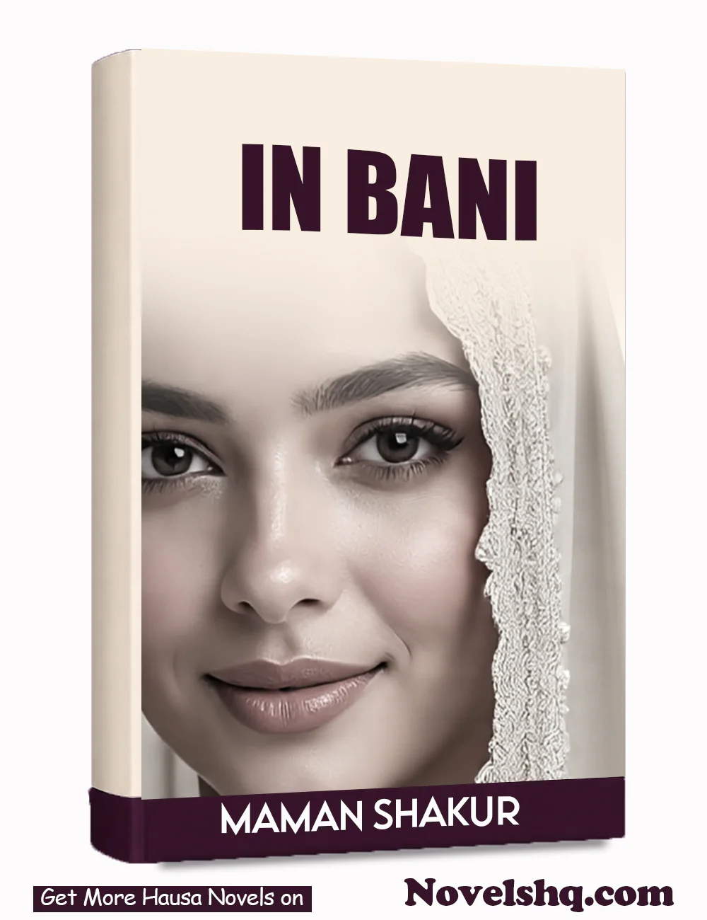 IN BANI Complete Hausa Novel