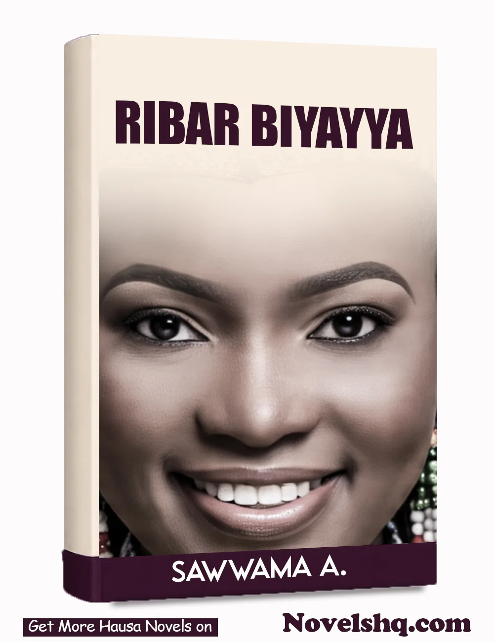 RIBAR BIYAYYA Hausa Novel