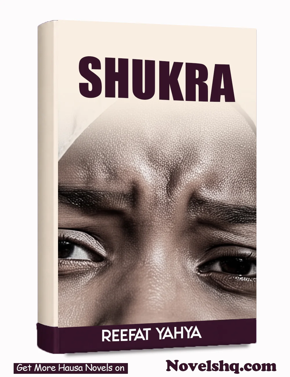 SHUKRA Hausa Novel