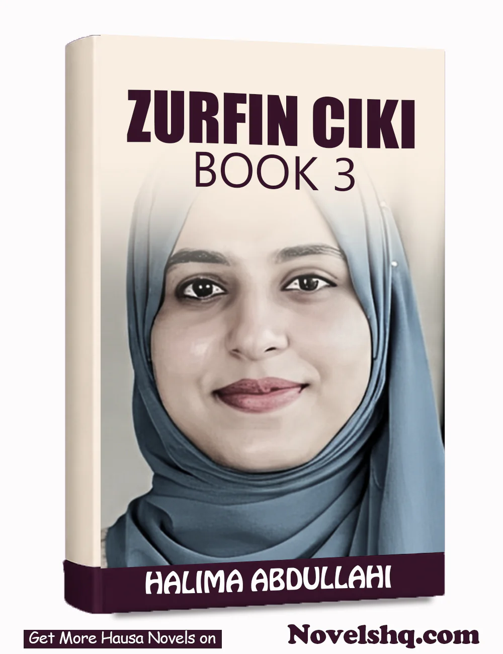 ZURFIN CIKI BOOK 3